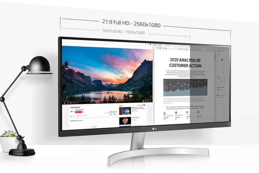 LG 29" TN HD Monitor